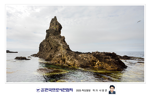 울릉도 독도 사진 4
