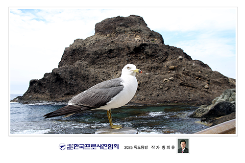 울릉도 독도 사진 12